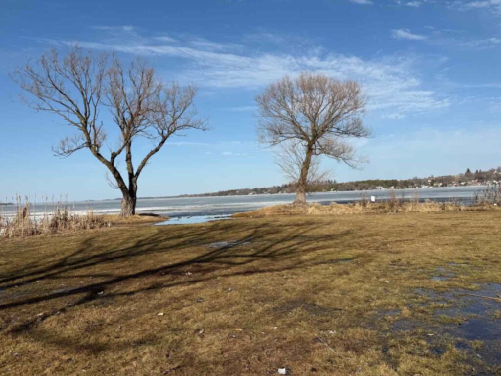 The Modern Marriage Crisis