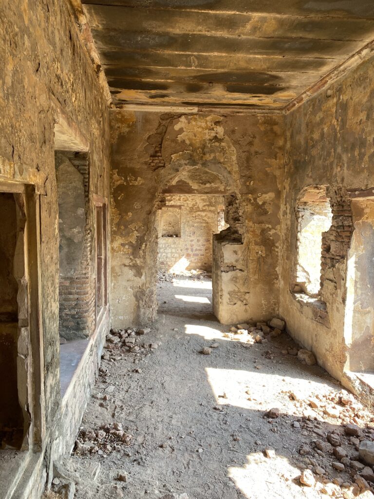 Provincial languages are shrinking