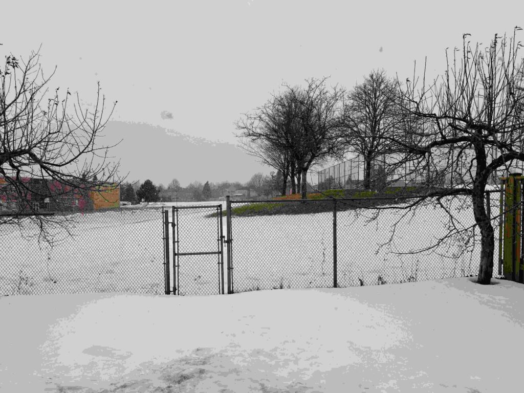 The economic system of Western countries